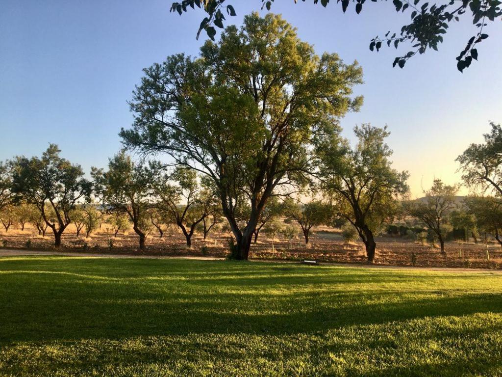 Finca El Relax Colmenar de Oreja エクステリア 写真
