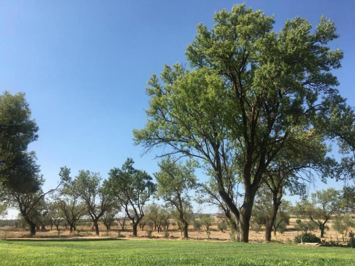 Finca El Relax Colmenar de Oreja エクステリア 写真